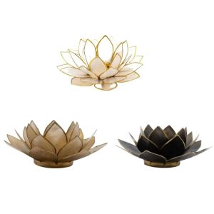 Lotus-Stimmungslichter mit neutralen Farben Set - Bündel